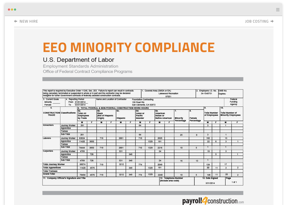 EEO minority compliance report image