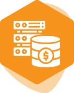 payroll data icon